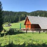 Фотография гостевого дома Cosy Chalet on Pokljuka - Brunarica Tinkara