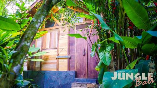 Фотографии мини отеля 
            Pousada Jungle Bali