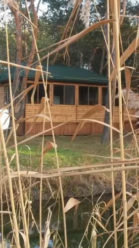 Фотография гостевого дома Причал