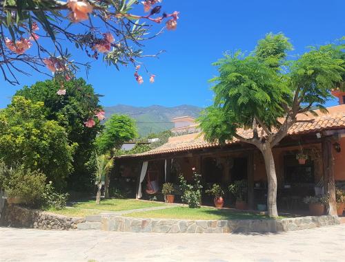 Фотография гостевого дома Finca La Casita en entorno natural