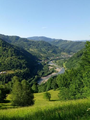 Фотография гостевого дома Закарпатский сруб