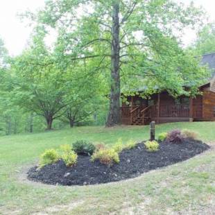 Фотографии гостевого дома 
            Windy Ridge Cabin