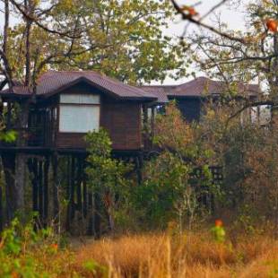 Фотографии гостиницы 
            Pench Tree Lodge