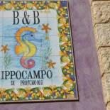 Фотография мини отеля Ippocampo B&B