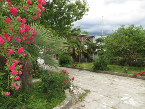 Фотография мини отеля Guesthouse tamila - საოჯახო სასტუმრო თამილა