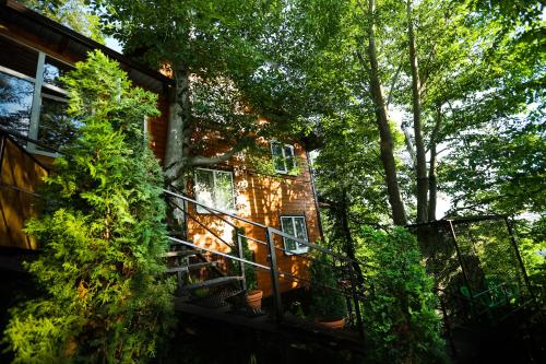 Фотографии гостевого дома
Феникс