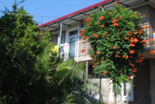 Фотография гостевого дома Giga Guest House