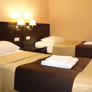 Фотография номера гостиницы Парк-отель Пушкин