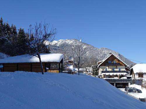 Фотографии мини отеля 
            B&B Landhof Schober