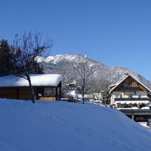 Фотография мини отеля B&B Landhof Schober