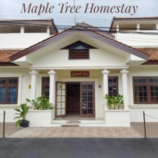 Фотография хостела Maple Tree Homestay