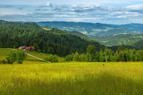 Фотография базы отдыха Domek na Obidzy