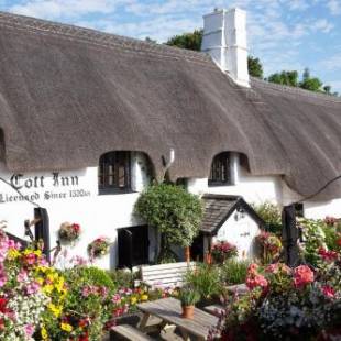 Фотографии мини отеля 
            The Cott Inn