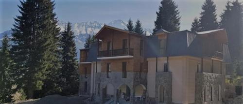 Фотография гостиницы Mestia Shgedi