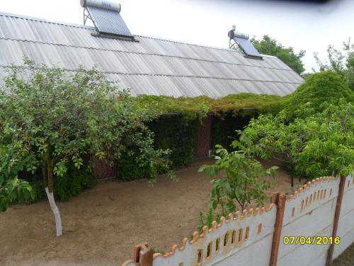 Фотография гостевого дома Азовочка