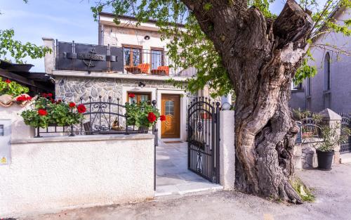 Фотография гостевого дома Villa Mulberry