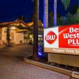 Фотография гостиницы Best Western Plus Pepper Tree Inn