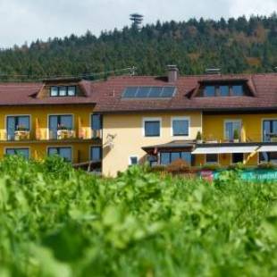 Фотографии гостевого дома 
            Gasthaus - Pension Sonnenhof