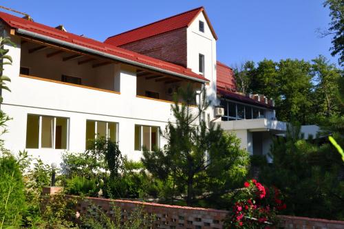 Фотография гостиницы Примус