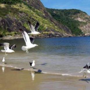 Фотографии гостевого дома 
            Paraiso de Itaipu