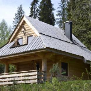 Фотографии гостевого дома 
            Mountain chalet SmoLenisko domek w górach