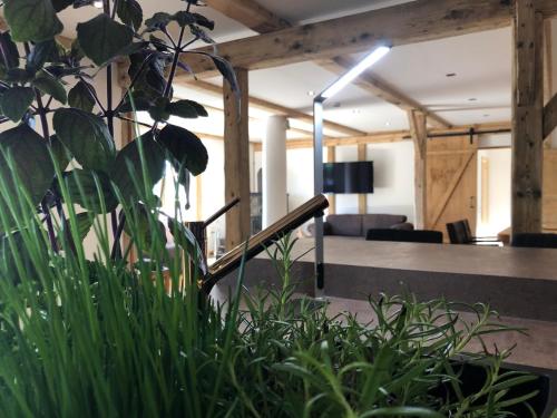 Фотография гостевого дома Lechwiese