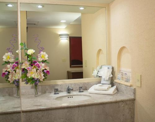 Фотографии гостиницы 
            Hotel Tapachula