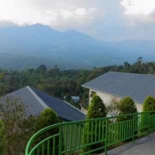 Фотография гостиницы BLOSSOM HILL MUNNAR