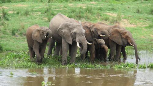 Фотография гостиницы Riverview Inn