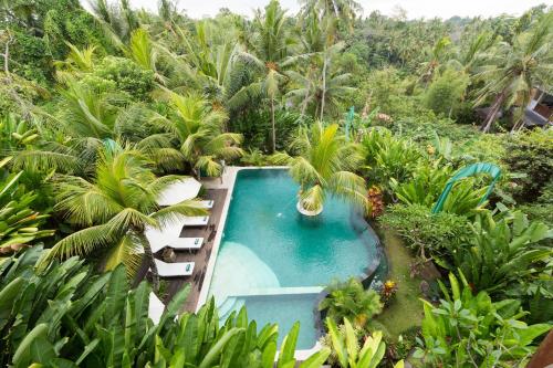 Фотографии гостиницы 
            Alamdini Resort Ubud