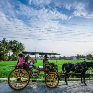 Фотографии гостиницы 
            D'omah Yogya Hotel