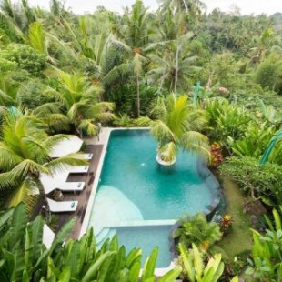 Фотография гостиницы Alamdini Resort Ubud