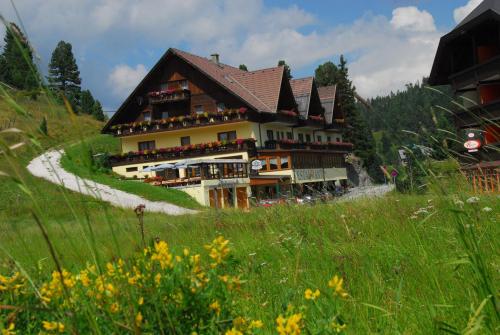 Фотографии гостиницы 
            Hotel Turracherhof