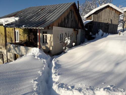 Фотография гостевого дома qurculi-ქურცული