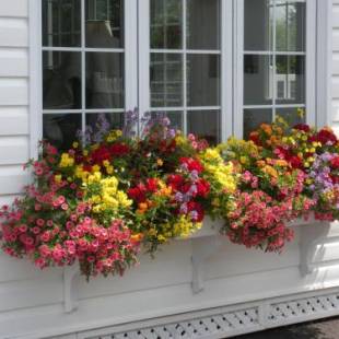 Фотографии мини отеля
Côté's Bed & Breakfast