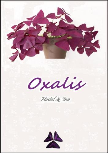 Фотографии хостела 
            Oxalis