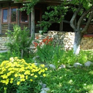 Фотография гостевого дома На Речной, 18