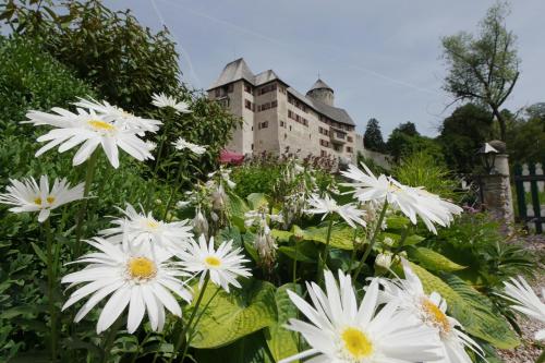 Фотография гостиницы Schloss Matzen