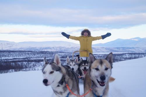 Фотография хостела Abisko net Hostel & Huskies