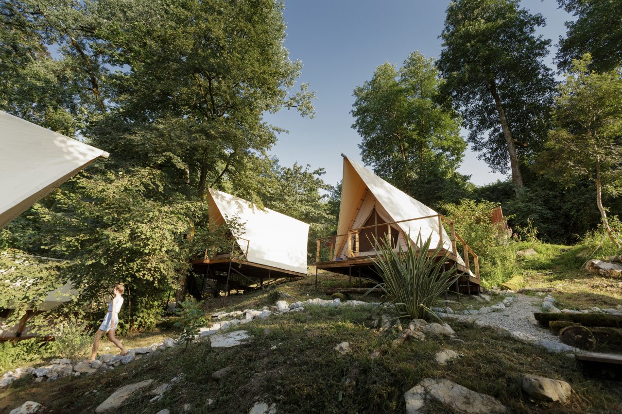 Фотография глэмпинга LAVICON Древо