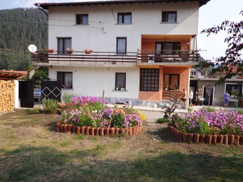 Фотография гостевого дома Family Hotel Ecorelax