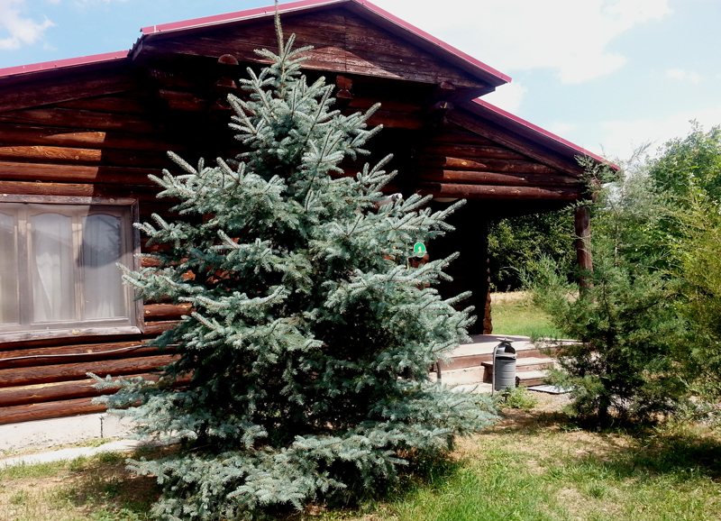 Фотография базы отдыха Рыбалкино