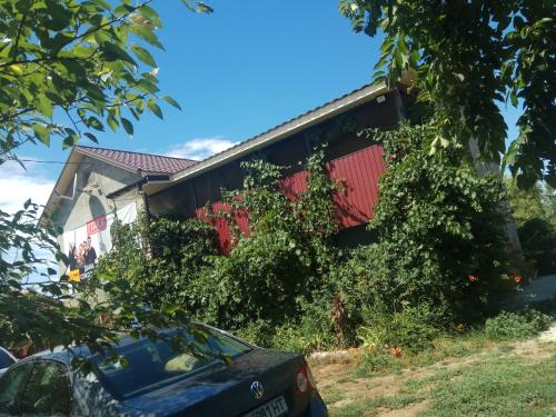 Фотография гостиницы Татьяна