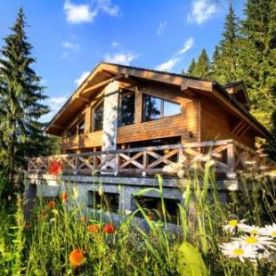 Фотографии гостевого дома 
            Chalets Jasná Collection Centrum