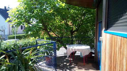 Фотография гостевого дома A l Ombre des Catalpas