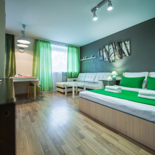 Фотография квартиры Пять Звёзд Уютная современная студия в центре