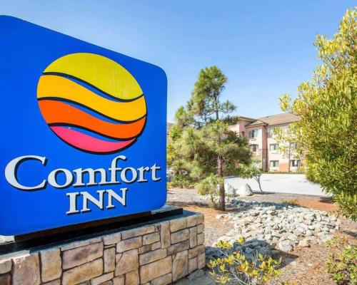 Фотографии гостиницы 
            Comfort Inn