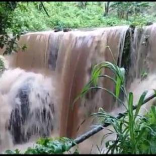 Фотографии гостевого дома 
            Sitio Alto da Montanha - você em paz com a natureza