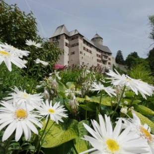 Фотографии гостиницы 
            Schloss Matzen