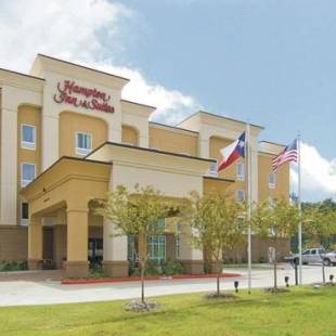 Фотографии гостиницы 
            Hampton Inn & Suites Palestine